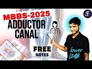 Adductor Canal | University Exam Oriented | MBBS 1st Year | Lower Limb Anatomy