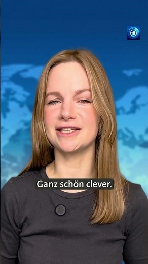 Erste Hilfe unter Mäusen