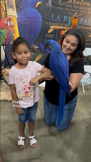 My Giant Blue Bird Is as Big as a 7-Year-Old!
