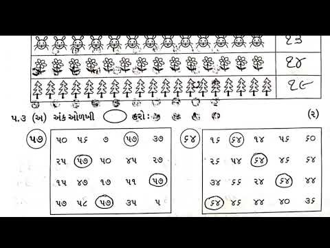 LKG Math's Test Paper Solution 10/1/26