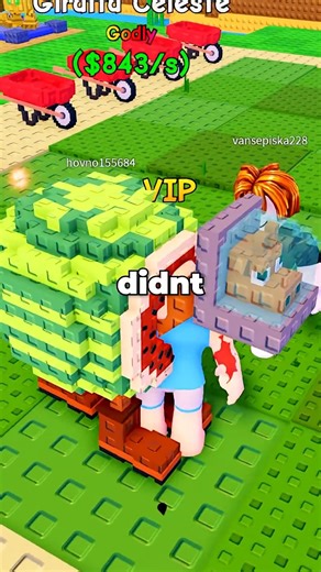 Blox Bros Gaming on Reels