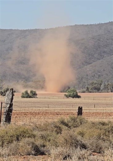 Towering Dust Devil Swirls Across Southern Flinders Ranges