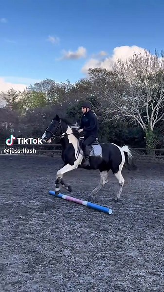 first jump in nearly a month he defo enjoyed it.i didn’t have a lot of breaks LOL