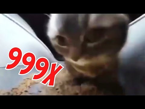 CHIPI CHIPI CHAPA CHAPA DUBI DUBI (Speed 999x)