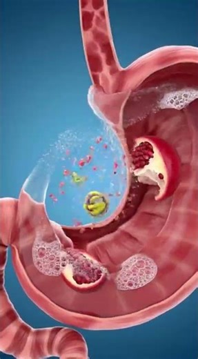 5 Surprising Pomegranate Benefits You Don't Know About
