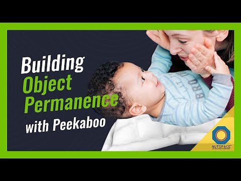 Building Object Permanence in Babies & Toddler by Playing Peekaboo