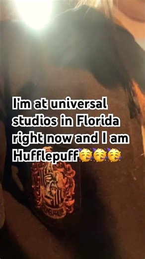 My Harry Potter house🥳🥳🥳