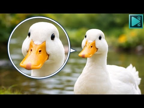 How to add Magnify effect in VSDC Video Editor