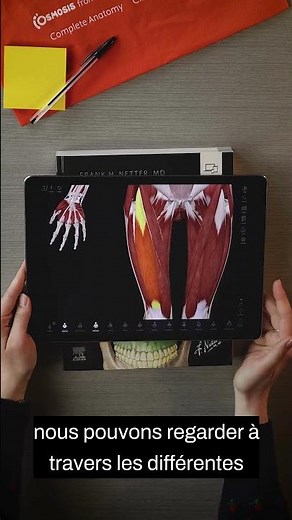 Complete Anatomy : muscles de la cuisse et complémentarité avec l'Atlas d'Anatomie Netter