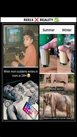 it's realitymotivationalquotes #motivational#quotes#inspirationalquotes#shorts