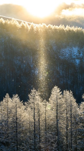 𝐊𝐞𝐧 𝐌𝐨𝐫𝐢𝐲𝐚🕊️ on Instagram: "💍💎冬の奇跡🧚‍♂️💎✨️ 霧ヶ峰のサンピラー✨️ダイヤモンドダスト💎 冬、ある一定の条件を満たした時にだけ出現する自然現象💎✨️ 空気中のダイヤモンドダストが太陽の光に反射して柱状の光の塊が現れます💎 大気の状態により少しずつ光の大きさや形、輝きの濃さを変えるその姿はとても神秘的です✨️ ⁡ 妖精が飛んでるみたい🧚‍♀️💫✨️ ⁡ 今日1/5は、一粒万倍日✕大明日✕天恩日✕神吉日の開運日 今日も素敵な一日をお過ごし下さい🍀︎✨ Location: Nagano,Japan PhotoDate: 03 Jan 2026 Camera:Canon EOS R5 Mark Ⅱ Lens: RF24-105mm F4 L IS USM Edit: 霊峰富士山写真家(@masaki_hani_photography ) 金運アップ スピリチュアル パワースポット"