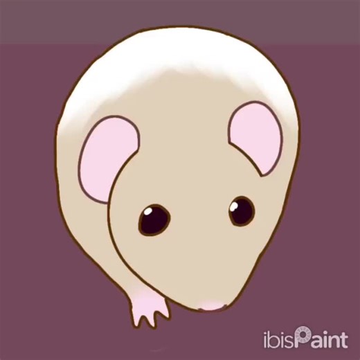 I think I'm funny #Rats