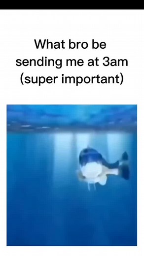 Hilarious Fish Memes That Will Make You Laugh