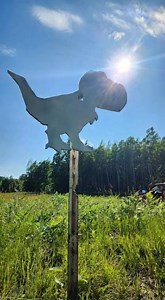 4.4K views · 50 reactions | Did you know that the T-rex target at 750y on long Range #2 laughs at you with every miss? | Marksmanship Training Center | Facebook