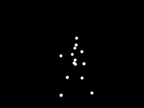 Male point-light-walker