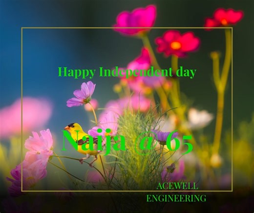 Biodigester Septic Systems In Ibadan - Properties - Nairaland