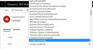 Entity Field Optionset