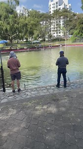 30K views · 291 reactions | Propond 4pm release pomfret and grouper with green and red tag !! | D'Best Fishing | Facebook