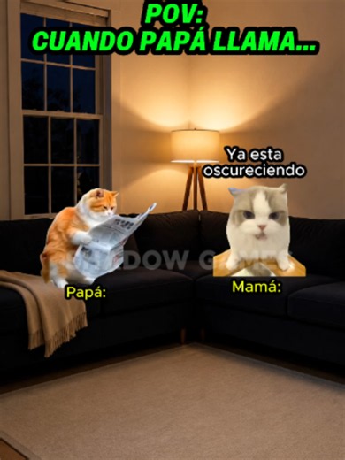 Cuando llama mamá vs cuando llama papá #storytime #gatitoslindos | cuando papa llama