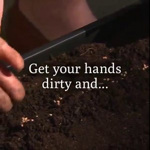 6.3K views · 81 reactions | ATTENTION! Mother Earth News now has seeds for a variety of plants including vegetables, herbs, plants to attract pollinators, and more! Check out the variety here: https://www.motherearthnews.com/store/Offer/MMESML31 | Mother Earth News | Facebook