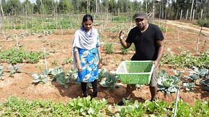 6.6K views · 24 reactions | Grow your own food with a farmer's help. At a community farm near you. Download FARMIZEN app from www.farmizen.com and get started. | Farmizen | Facebook