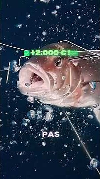#peche #fishing #questcequejedevraischoisir #storytime #fish #shark