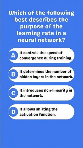 Understanding the Learning Rate in Neural Networks
