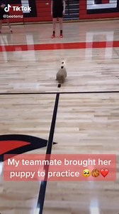 25K views · 751 reactions | Yeah, there's no denying it, this video won cutest #Smiley video of the month! #GetSmiley | Smiley | Facebook