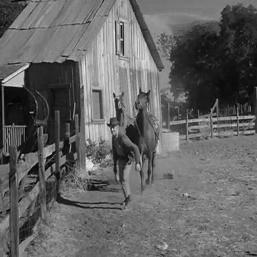 24 reactions | Gunsmoke S06E14 – The Cook P7 | Kungfu In Life | Facebook