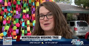 Winterhaven wishing tree continues bringing joy 19 years after its start