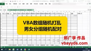 Excel vba 男女分组随机配对 通用数组随机模块 郑广学VBA