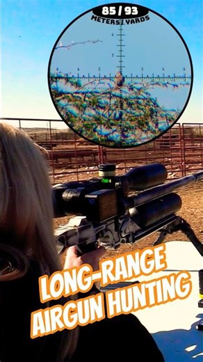 Long-Range Airgun Hunting #fxairguns
