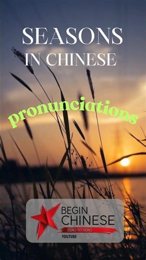 Four Seasons in Chinese 🇨🇳🌸❄️🍂☀️ Mandarin Challenge #learnchinese #languagelearning