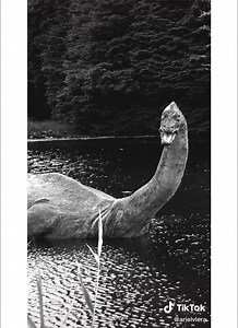 17K views · 219 reactions | The world is full of crazy legends like the story of witches, magic and the Loch ness monster. Do you know them? ©arielviera | TikTok | Facebook