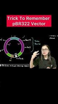 NEET 2026: pBR322 Restriction Sites Trick | Which Gene Is Inactivated? | Gargi Ma'am