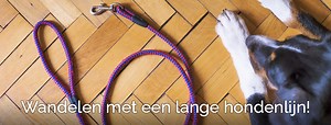 Lange lijn hond: wist jij dit?! Ontspannen wandelen zonder trekken!