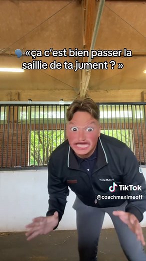 Saillie de jument : Tout ce qu'il faut savoir