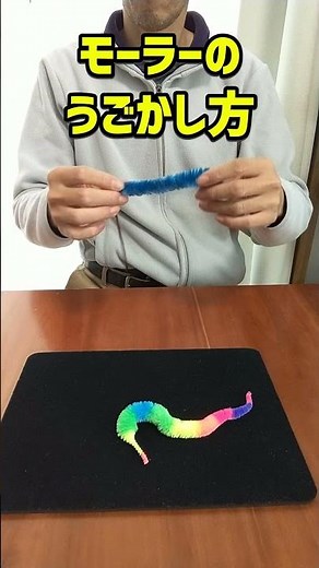 おもちゃ モーラーの遊び方使い方動かし方