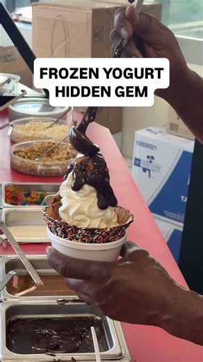 Michael Zein | We just found this frozen yogurt hidden gem in BOCA RATON FLORIDA 📍Boca Raton, Florida | Yogurt Emporium #froyo #bocaraton #sweettreat | Instagram