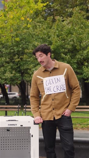 Is this a top NYC experience? - FYI: made for dogs, not humans #dogs #comedy #funny | Impact Dog Crates