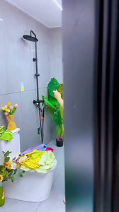 foldable laundry basket #kitchenorganization #reelsviral #gadgets #coolgadgets #besthomegadgets | Tech Mart