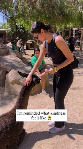 Rich in Life Because...