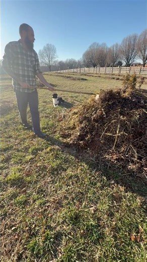 Building stability and soil with compost #dogtraining #homesteading #compost