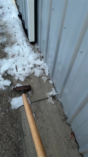 Bently (@bently.shinabarge)’s videos with original sound - pigeon ☮