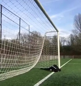 26K views · 266 reactions | 10 points | Mr Pickles & Friends | Facebook