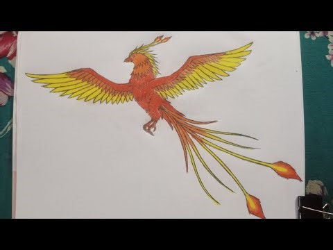 Drawing and colouring a Phoenix 🔥🦅 step by step.