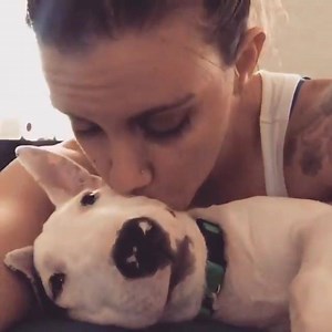 Kristina Moser and angry Bull terrier Video: https://www.youtube.com/c/TheBullTerrierClub | The Bull Terrier Club
