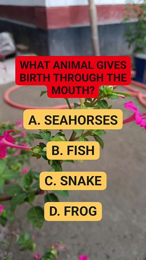 #riddle #brainteaser #puzzle | English riddle