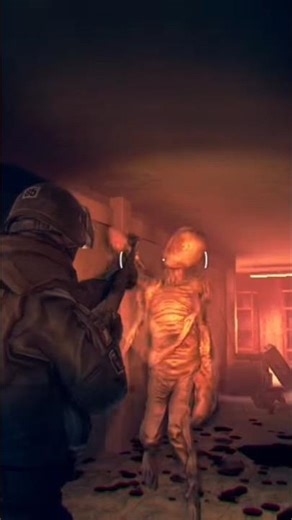 Brutalll || Wall of insanity