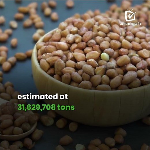 Overview of peanut production
